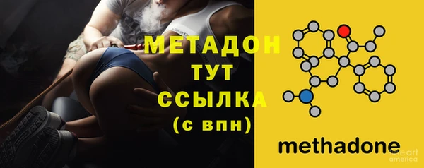 индика Нязепетровск