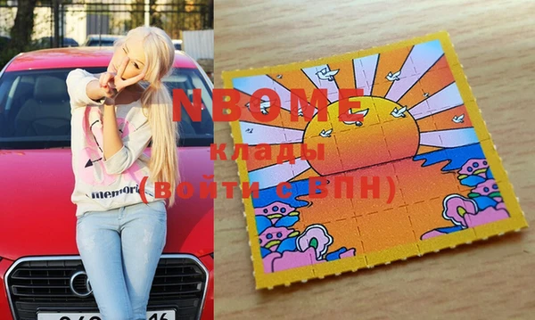 прущие грибы Няндома