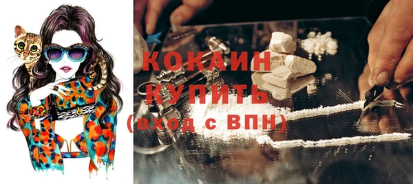 прущие грибы Няндома