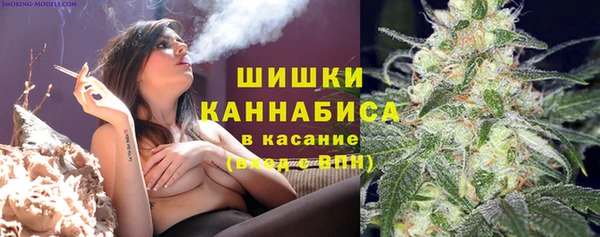 спайс Нягань
