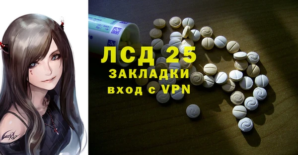 прущие грибы Няндома