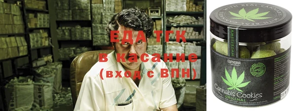 индика Нязепетровск